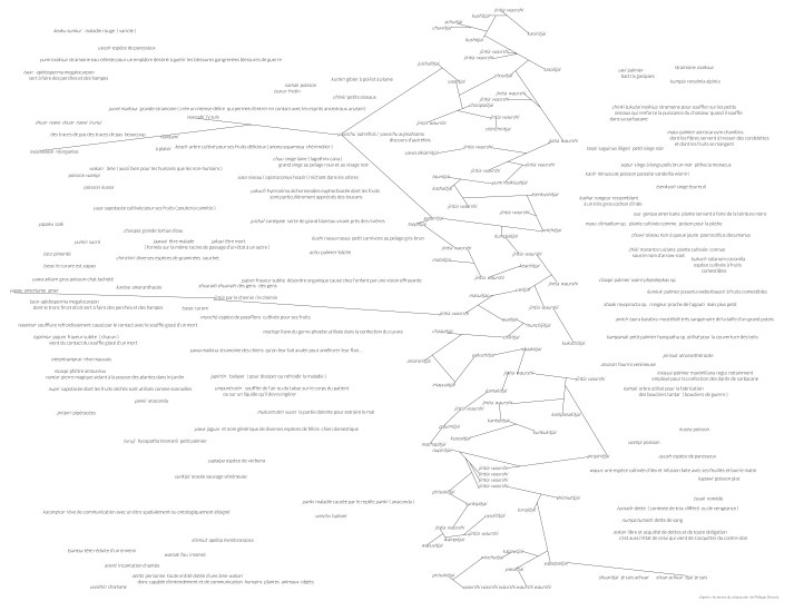 ontologie achuar (jivaro) - copie