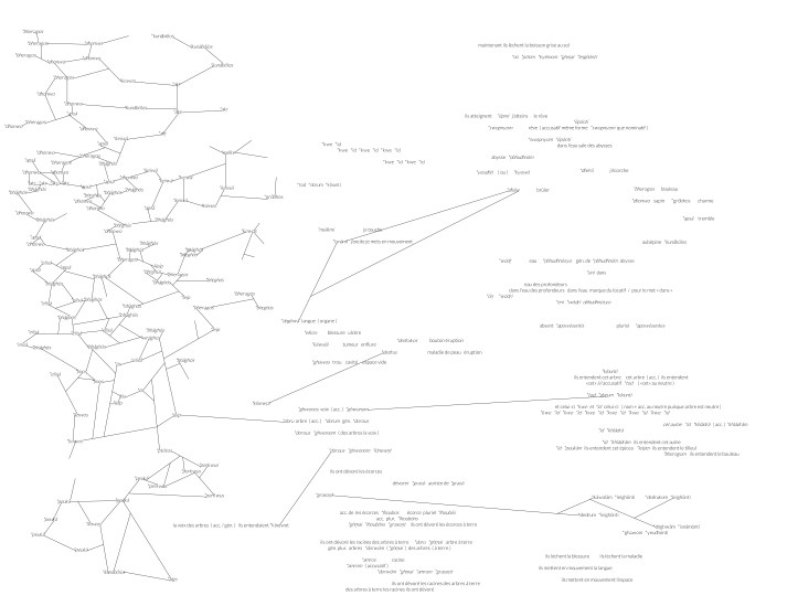 ontologies (indo-europeen) - copie